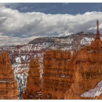 Fresh Snow at Bryce