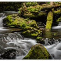 Panther Creek Above The Falls