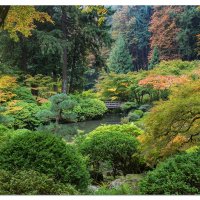Portland Japanese Garden Lets Play