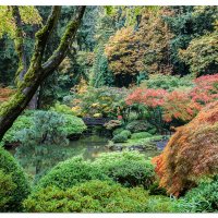 Colors of Fall
