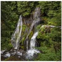 Panther Creek Falls