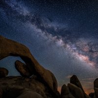 _D858375_dw