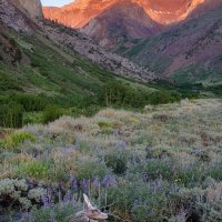 Spring East Of The Crest