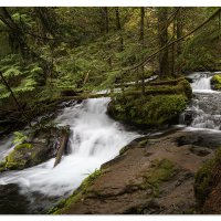 Upper Panther Creek Falls