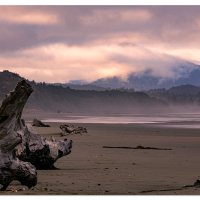 Cape Blanco Beach