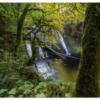 Lower North Falls