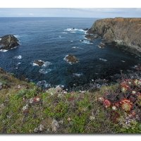 _MG_4563