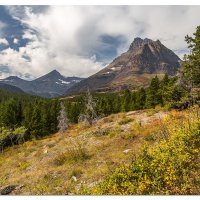 Swiftcurrent Trail