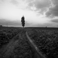 DRJ_5323
