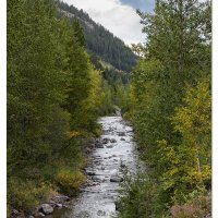 Bear Creek