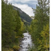 Bear Creek