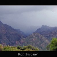 Sabino Canyon