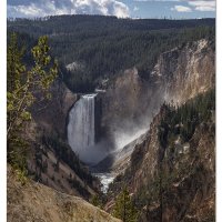 Yellowstone Falls