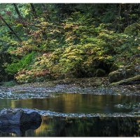 Coastal Fall