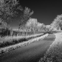 LRCC_LoboTrail_IRTest_PSCC_SEfex2_sRGB_FW_IMG_0279_IR_PSCC-Edit-2