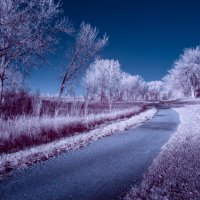LRCC_LoboTrail_IRTest_PSCC_sRGB_FW_IMG_0279_IR_PSCC