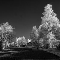 LRCC_StreetScene_PSCC_sRGB_FW_IMG_0283_IR_PSCC