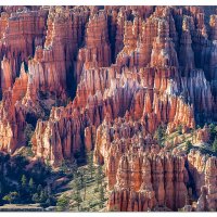 Late Day Light from Bryce Point