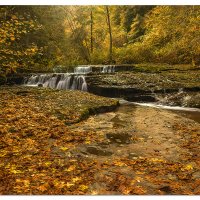Sweet Creek