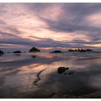 Bandon Kittens Sunset