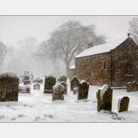 _DSC5122-1 Matted