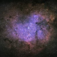 Elephant Trunk Nebula
