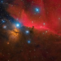 Horsehead and Flame