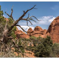 Off the Beaten Trails