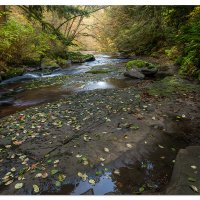 Downstream