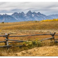 Tetons from Shane Cabin