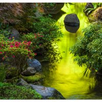 Spring Reflections
