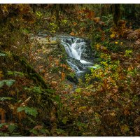 Sweet Creek UnnamedFalls