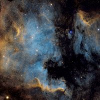 North America and Pelican Nebulae