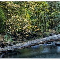 Lake Creek