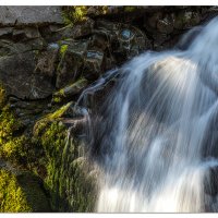 Sol Duc Moss Sprays