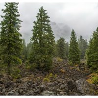 Proxy Falls Trail