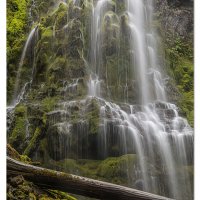 Rainy Proxy Falls