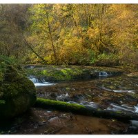 Sweet Creek - Below Ledge Falls