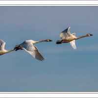190317-9655-5DS R