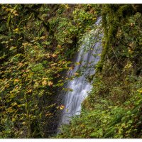 Multnomah Falls