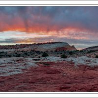 190420-9894-5DS R Cc Copy