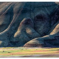 Painted Hills Morning Light