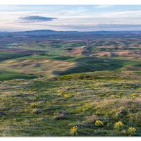 Palouse Sunrise