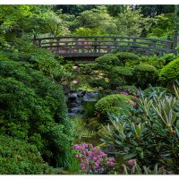 Moonbridge in June