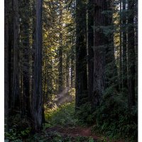 Ah-Pah Trail