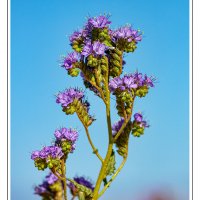 190605-10106-5DS R