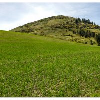 Steptoe Butte