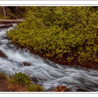 190623-10523-5DS R
