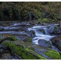 Sweet Creek Rapids