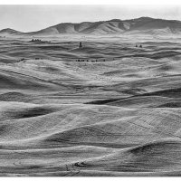 The Palouse in B&W